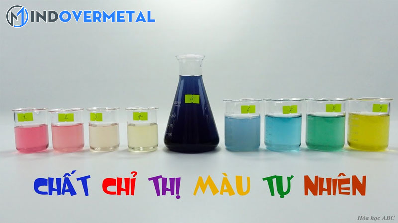 chat-chi-thi-mau-la-gi-nhung-chat-chi-thi-mau-trong-tu-nhien-9