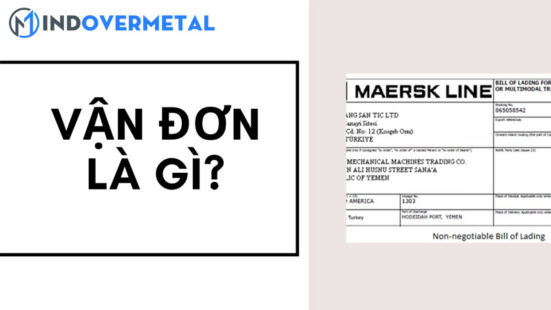 co-cq-pkl-van-don-to-khai-hai-quan-la-gi-y-nghia-trong-xuat-nhap-khau-3-mindovermetal