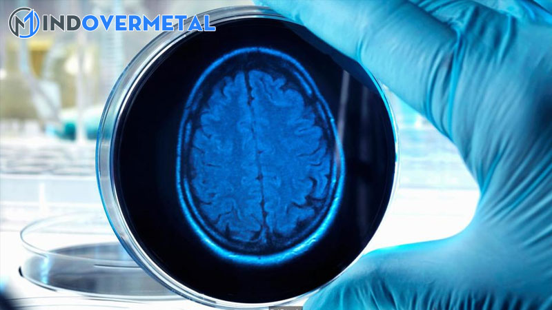 co-the-nuoi-nao-nguoi-ngoai-co-the-1-mindovermetal