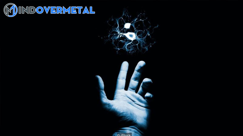 co-the-nuoi-nao-nguoi-ngoai-co-the-mindovermetal