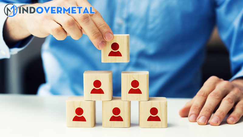 cong-ty-tnhh-2-thanh-vien-tieng-anh-la-gi-1-mindovermetal