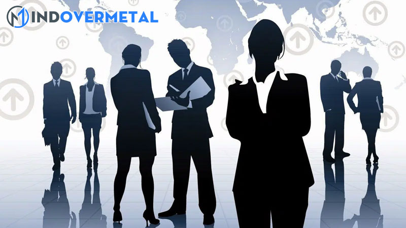 cong-ty-tnhh-2-thanh-vien-tieng-anh-la-gi-2-mindovermetal