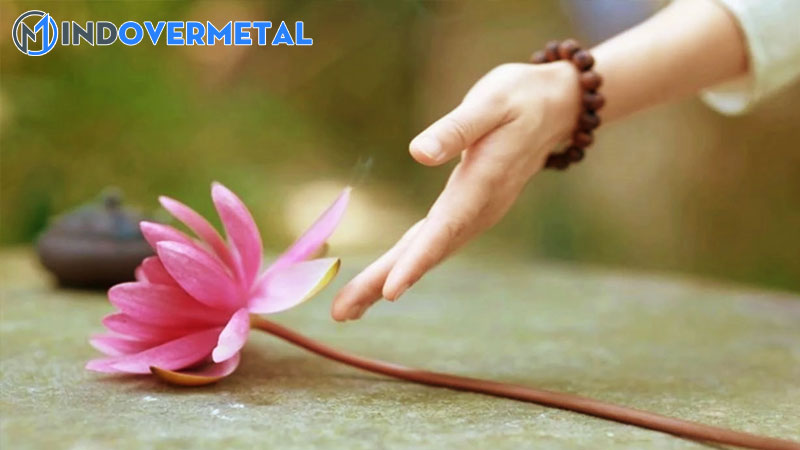 dat-cau-voi-tu-an-han-mau-cau-co-tu-an-han-trong-tu-dien-tieng-viet-2-mindovermetal