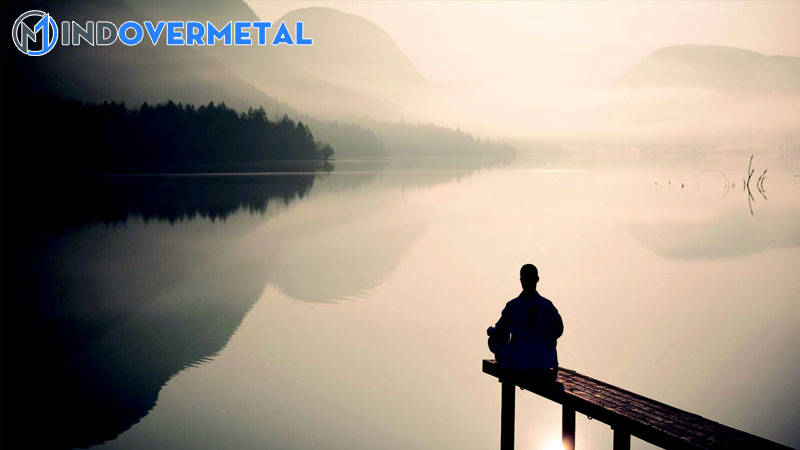 dat-cau-voi-tu-an-han-mau-cau-co-tu-an-han-trong-tu-dien-tieng-viet-mindovermetal