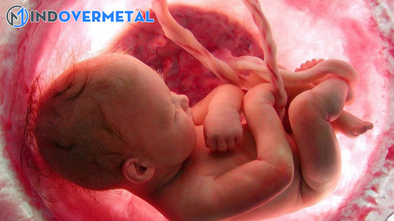 day-ron-bam-lech-tam-anh-huong-toi-thai-nhi-nhu-the-nao-2