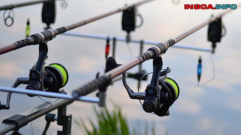 do-cung-bx-cua-can-cau-la-gi-cac-thong-so-ky-thuat-tren-can-cau-2