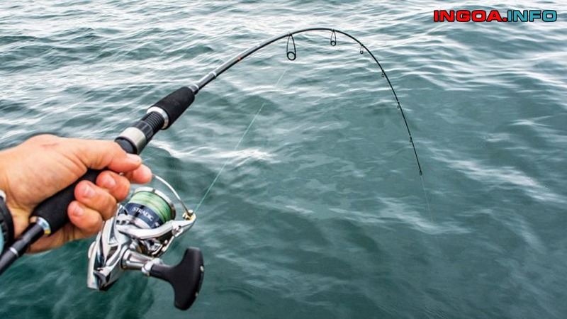 do-cung-bx-cua-can-cau-la-gi-cac-thong-so-ky-thuat-tren-can-cau-3