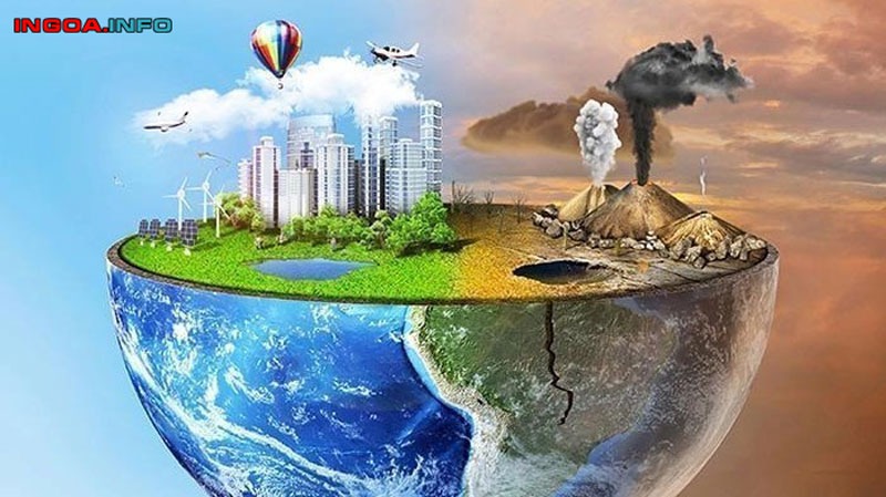 go-green-la-gi-lam-the-nao-de-co-loi-song-xanh-7