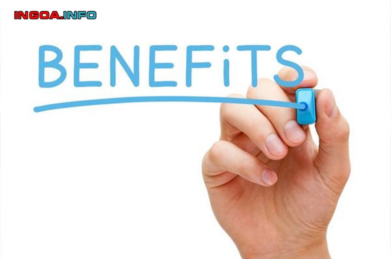 he-chat-luong-cao-tieng-anh-la-gi-loi-ich-khi-hoc-he-chat-luong-cao-8