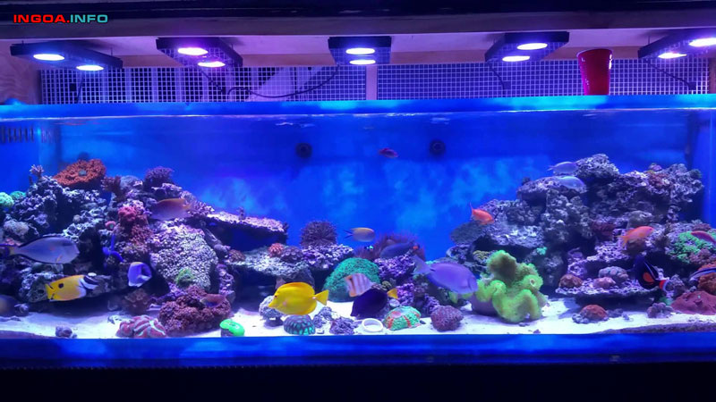 huong-dan-cach-lam-loc-day-be-ca-cuc-ky-don-gian-va-hieu-qua-6