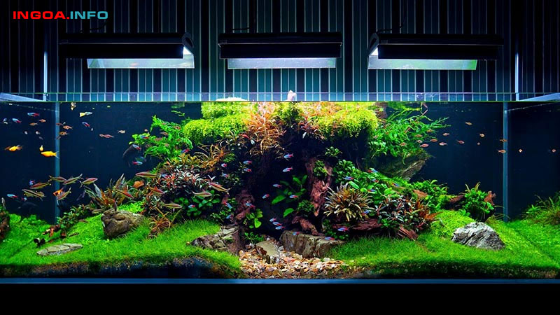 huong-dan-cach-lam-loc-day-be-ca-cuc-ky-don-gian-va-hieu-qua-8