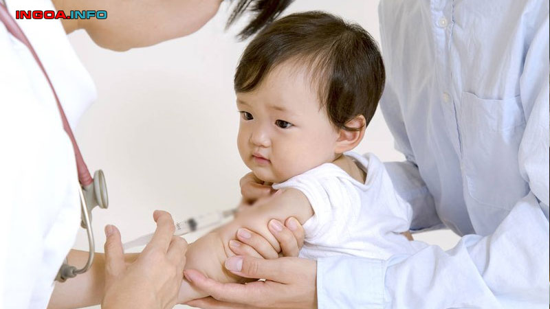immunization-record-la-gi-vi-sao-con-nguoi-phai-tiem-chung-mindovermetal-2