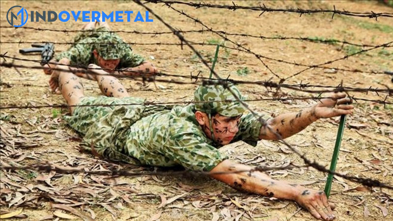 linh-dac-chung-la-gi-luc-luong-dac-biet-tinh-nhue-ho-la-ai-6