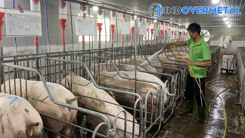 mau-chuong-nuoi-heo-thit-ban-ve-thiet-ke-chuong-nuoi-lon-thong-minh-3-mindovermetal