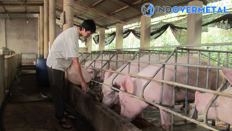 mau-chuong-nuoi-heo-thit-ban-ve-thiet-ke-chuong-nuoi-lon-thong-minh-4-mindovermetal
