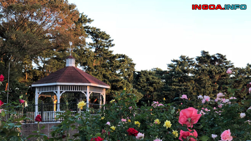 mau-nha-choi-nghi-tu-giac-luc-giac-bang-sat-dep-9