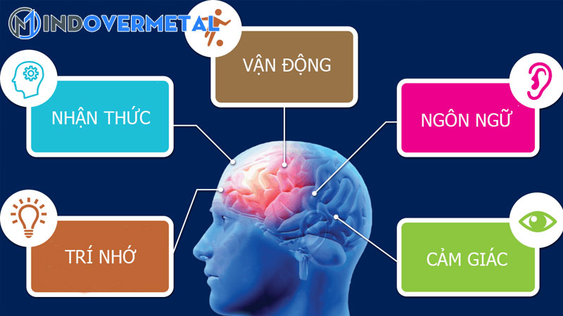 moi-quan-he-giua-vat-chat-va-y-thuc-y-nghia-thuc-tien-3-mindovermetal