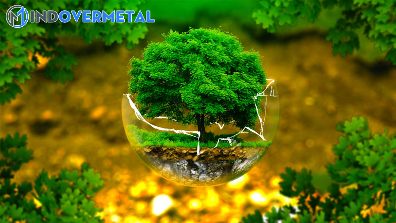 moi-truong-la-gi-co-may-loai-moi-truong-tu-nhien-1-mindovermetalmoi-truong-la-gi-co-may-loai-moi-truong-tu-nhien-1-mindovermetal