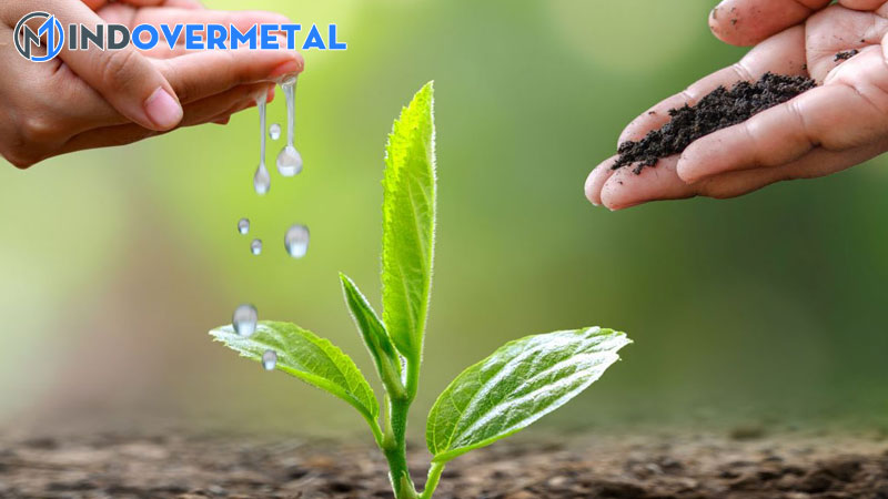 moi-truong-la-gi-co-may-loai-moi-truong-tu-nhien-2-mindovermetal