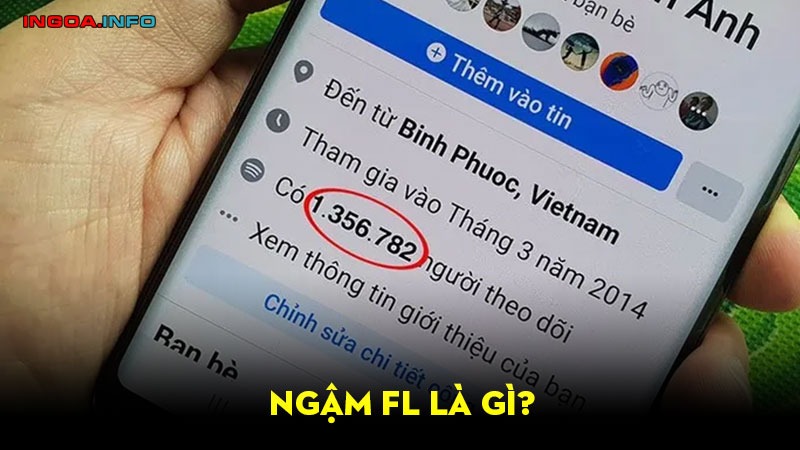 ngam-fl-la-gi-huong-dan-xem-nguoi-minh-dang-theo-doi-tren-facebook-1