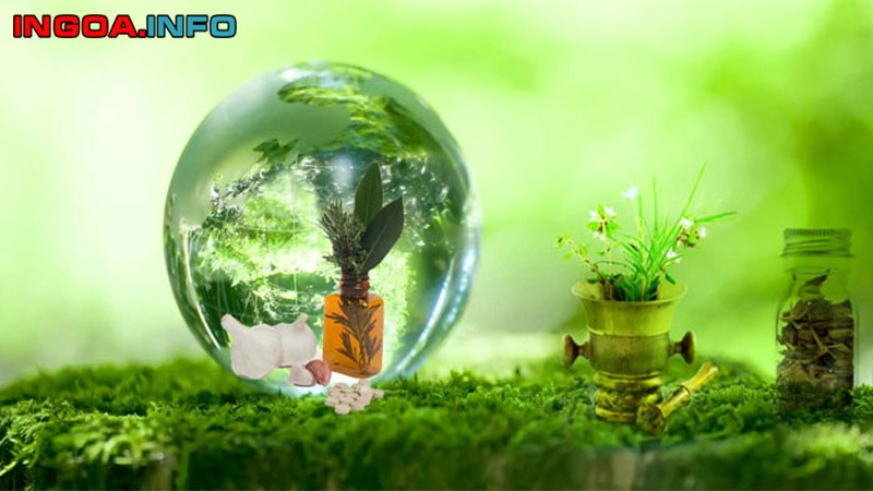 nghi-luan-ve-tinh-yeu-thien-nhien-dan-y-van-mau-chon-loc-1