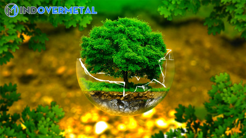 nhan-to-sinh-thai-la-gi-cac-loai-nhan-to-sinh-thai-trong-moi-truong-1-mindovermetal