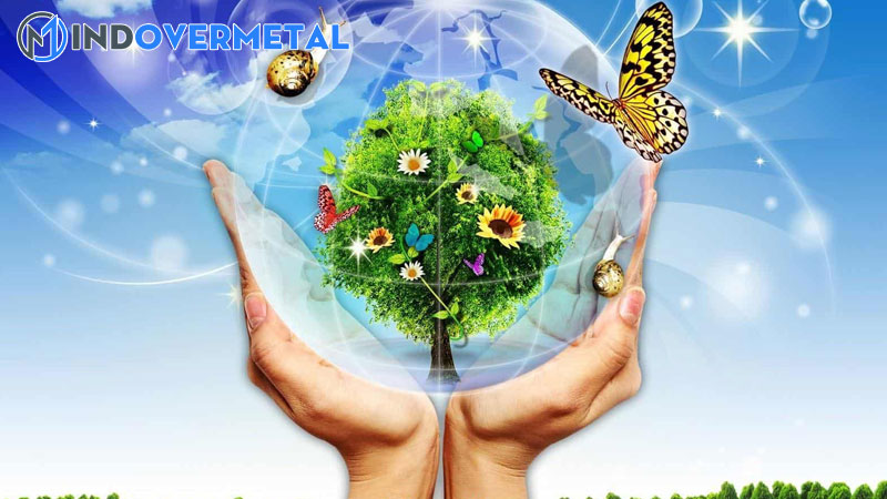 nhan-to-sinh-thai-la-gi-cac-loai-nhan-to-sinh-thai-trong-moi-truong-2-mindovermetal