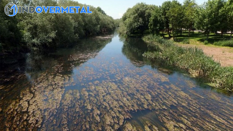 nhan-to-sinh-thai-la-gi-cac-loai-nhan-to-sinh-thai-trong-moi-truong-3-mindovermetal