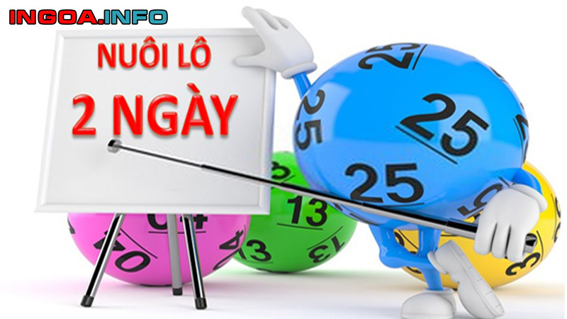 nuoi-lo-khung-la-gi-mindovermetal