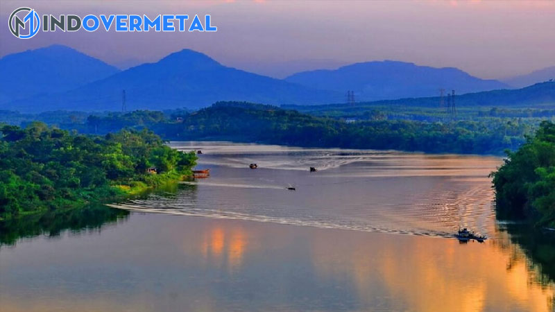 qua-dom-la-gi-nhung-tu-dac-trung-mien-trung-mindovermetal