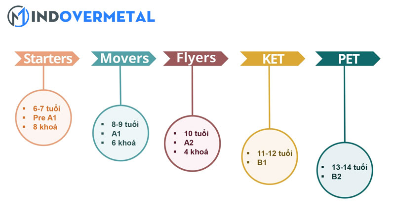 starter-mover-flyer-ket-pet-la-gi-chi-tiet-tung-chung-chi-2-mindovermetal