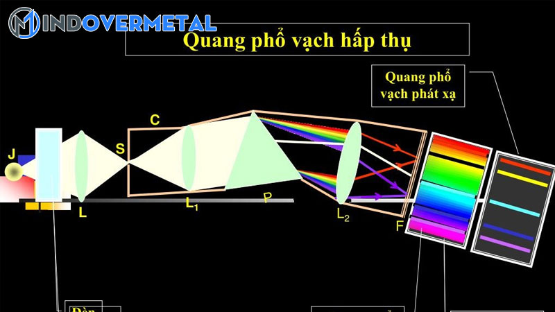 su-khac-biet-giua-buc-xa-va-phat-xa-2