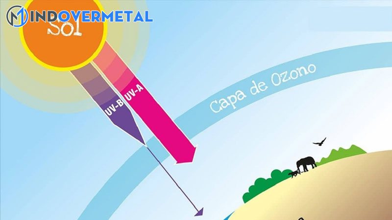 su-khac-biet-giua-buc-xa-va-phat-xa-3