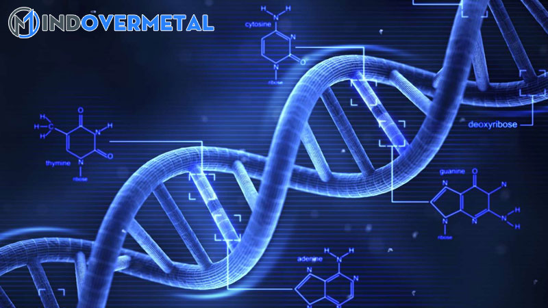 su-khac-biet-giua-dna-va-cdna-su-khac-biet-giua-2023-2