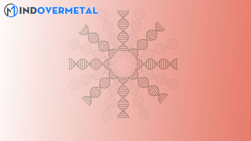 su-khac-biet-giua-dna-va-cdna-su-khac-biet-giua-2023-7