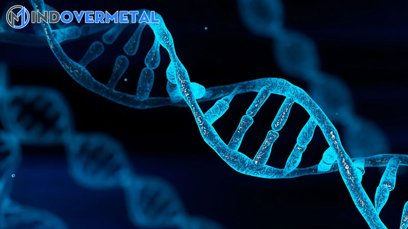 su-khac-biet-giua-dna-va-cdna-su-khac-biet-giua-2023-9
