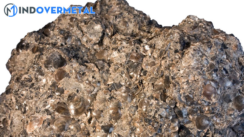 su-khac-biet-giua-phosphate-va-orthophosphate-2