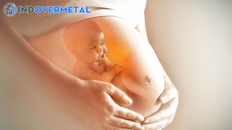 thai-37-tuan-do-truong-thanh-3-co-an-toan-cho-thai-nhi-hay-khong-2-mindovermetal