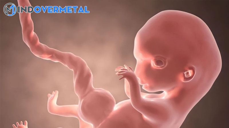 thai-nhi-co-dang-cham-phat-trien-1-mindovermetal