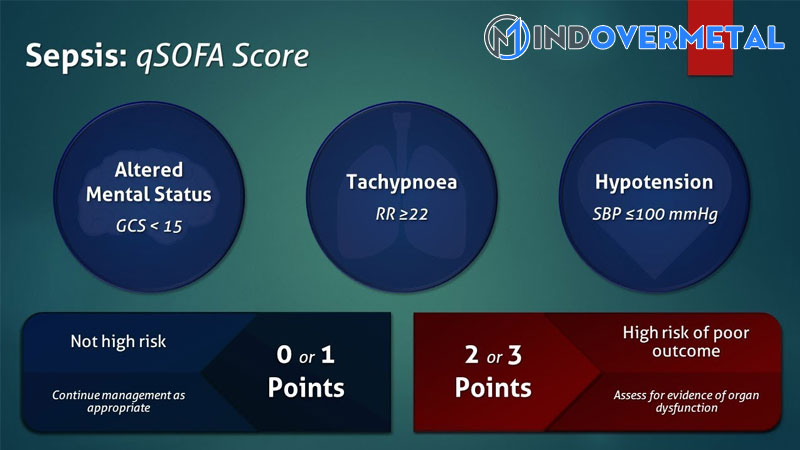 thang-diem-sofa-danh-gia-muc-do-suy-co-quan-mindovermetal
