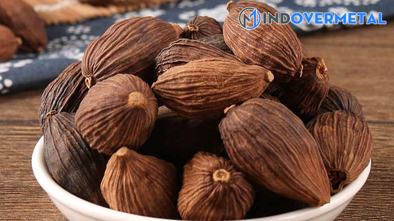 thao-qua-la-gi-tac-dung-cua-thao-qua-1-mindovermetal