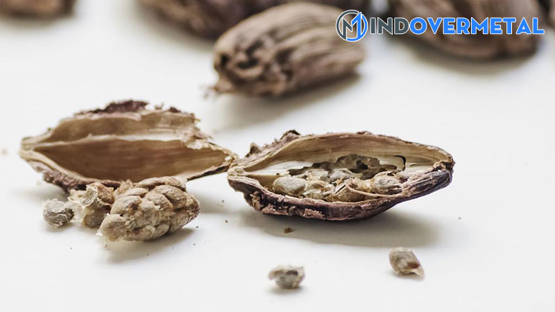 thao-qua-la-gi-tac-dung-cua-thao-qua-3-mindovermetal