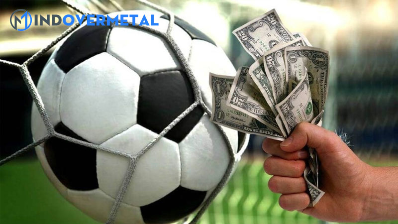 tien-com-la-gi-cach-bao-co-cua-dan-ca-do-chuyen-nghiep-duoc-bat-mi-1