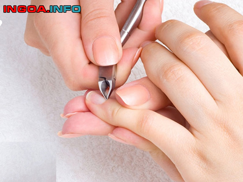 tim-hieu-cau-tao-mong-va-sinh-ly-binh-thuong-cua-mong-2