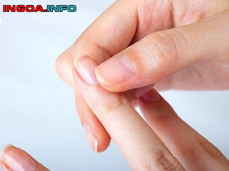 tim-hieu-cau-tao-mong-va-sinh-ly-binh-thuong-cua-mong-4