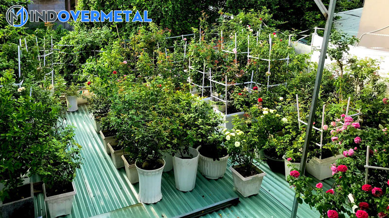 top-18-lam-gian-lan-tren-mai-ton-moi-nhat-2023-3-mindovermetal