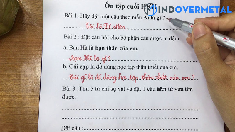 top-18-mau-cau-ai-la-gi-lop-2-moi-nhat-2023-2