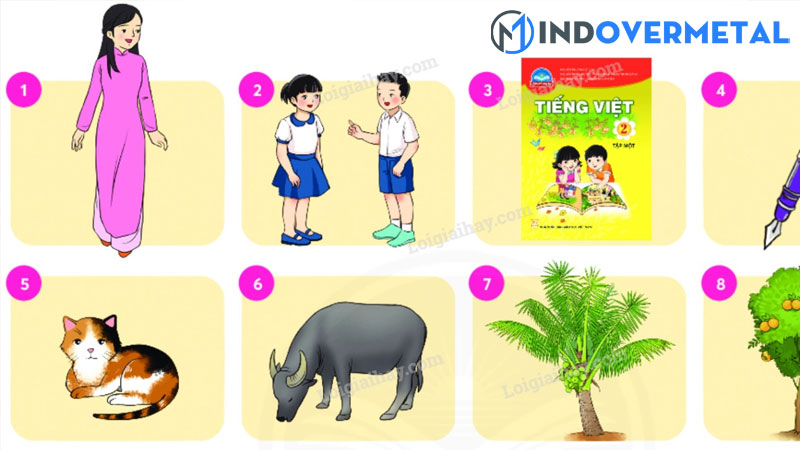 top-18-mau-cau-ai-la-gi-lop-2-moi-nhat-2023-5