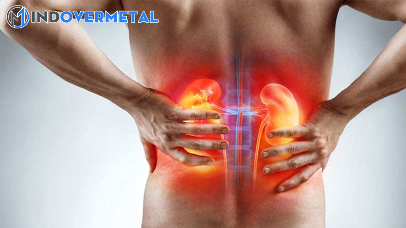 top-20-do-echogen-cua-than-la-gi-moi-nhat-2023-1