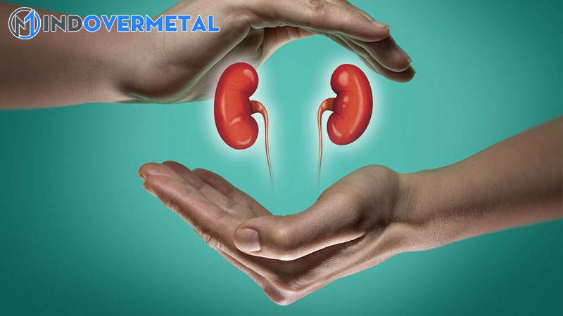 top-20-do-echogen-cua-than-la-gi-moi-nhat-2023-9